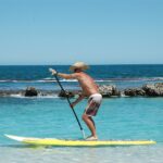 From Bark to Click: How PPC Advertising Can Help Your Bradenton Pet Boarding Stand Out