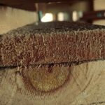 From Boxes to Clicks: Why Your Bradenton Packing Business Needs SEO to Thrive