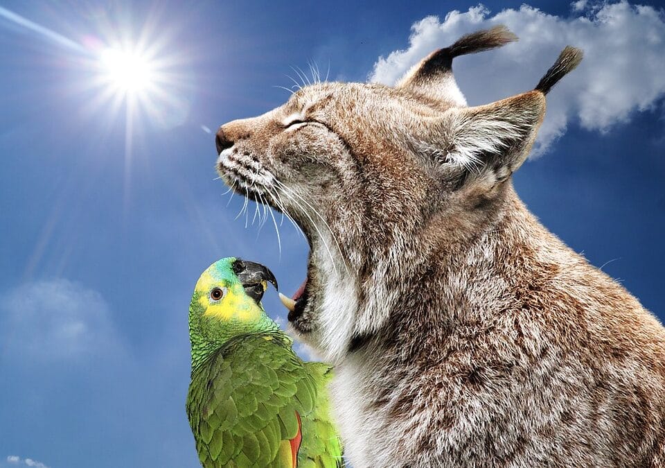 From Cavities to Clicks: Why Sarasota Dentists Can't Afford to Ignore SEO