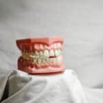 From Clicks to Customers: The Secret Formula for Sarasota Dentists Using PPC Advertising