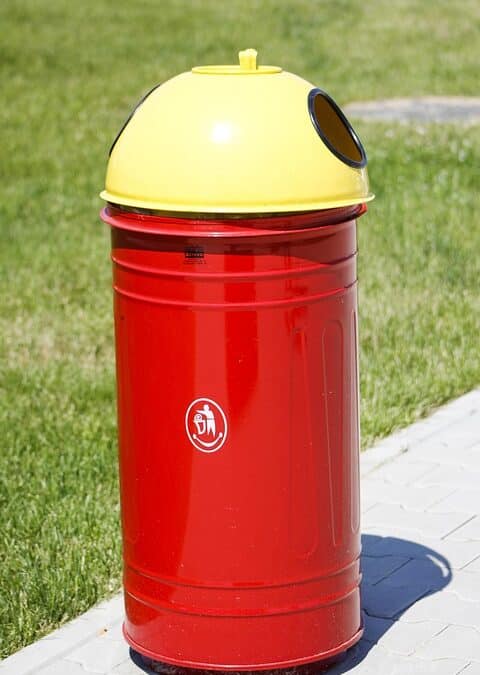 From Clutter to Clicks: How SEO Can Transform Your Junk Hauling Business in Bradenton