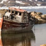From Cluttered to Clear: How SEO Can Elevate Your Sarasota Junk Removal Business