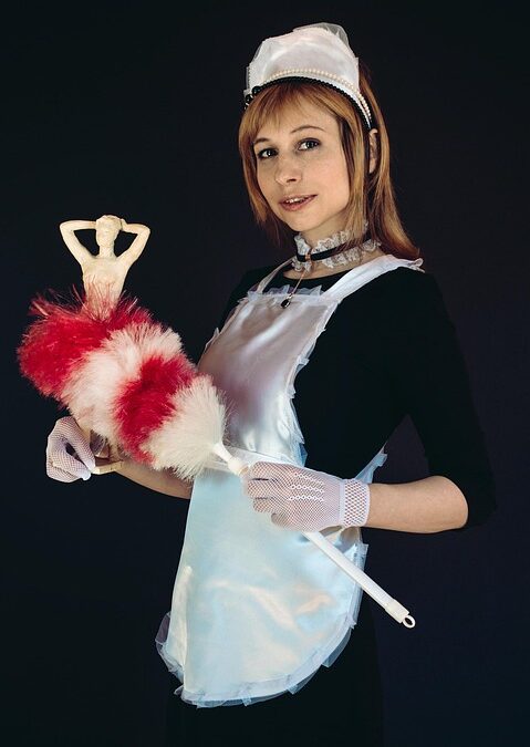 From Dirty Gutters to Dollar Signs: Maximizing Your Sarasota Business with Targeted PPC!