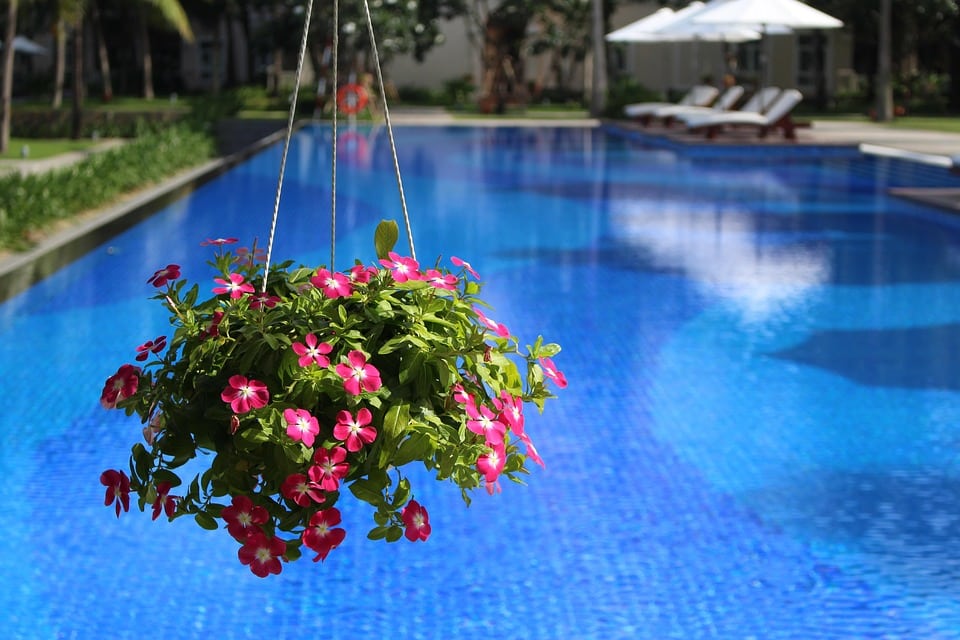 From Drab to Fab: Transform Your Sarasota Pool Cleaning Business with the Power of PPC!