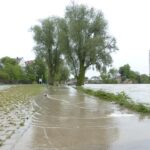 From Flooded to Found: The Essential SEO Playbook for Bradenton Water Damage Restoration Companies