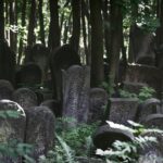 From Goodbyes to Growth: The Essential Role of PPC in Sarasota Funeral Home Marketing