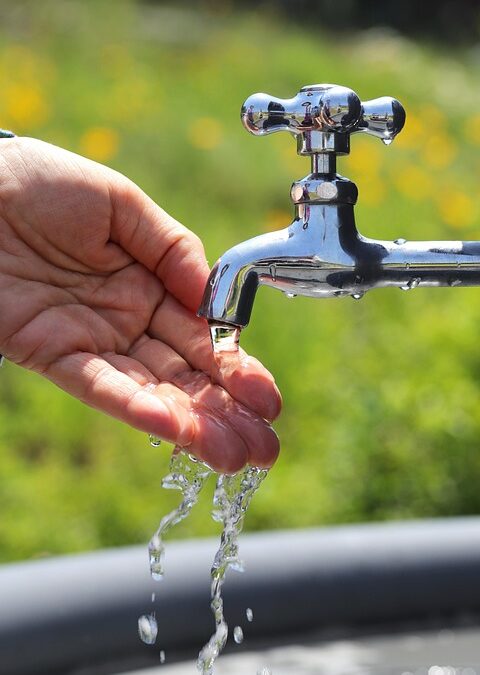 From Grit to Glam: How PPC Can Transform Your Sarasota Pressure Washing Service