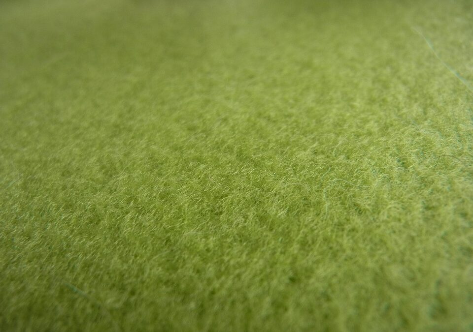 From Home to Business: Harnessing PPC Ads to Drive Local Carpet Cleaning Success in Sarasota!