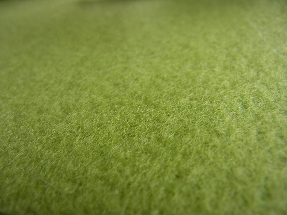 From Home to Business: Harnessing PPC Ads to Drive Local Carpet Cleaning Success in Sarasota!