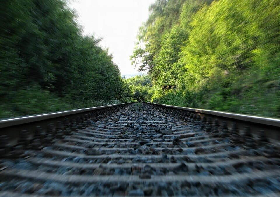 From Local to Legendary: The PPC Playbook for Bradenton Moving Businesses