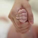 From Playrooms to Google Rankings: Elevate Your Bradenton Child Care Center with Strategic SEO
