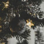 From Roots to Revenue: Unlocking the Power of PPC for Bradenton’s Tree Care Entrepreneurs