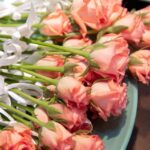 From Search to Service: Why Local Funeral Homes in Bradenton Should Embrace PPC Today