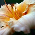 From Shrubs to Sales: Unlocking the Power of PPC for Your Bradenton Landscaping Service