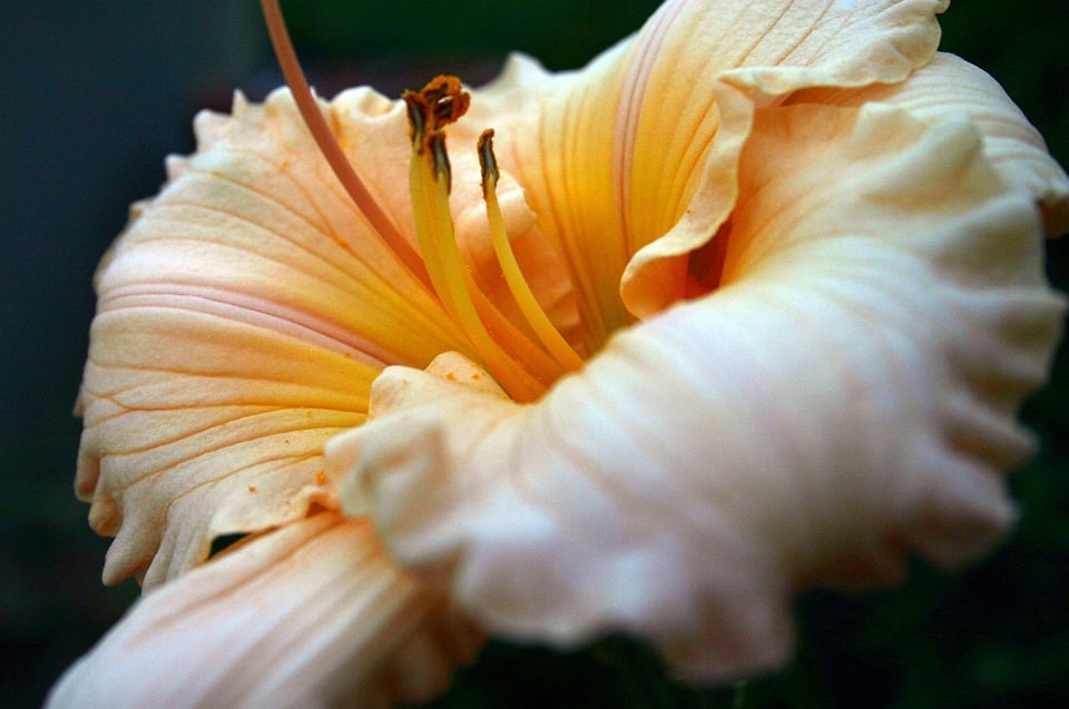 From Shrubs to Sales: Unlocking the Power of PPC for Your Bradenton Landscaping Service