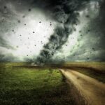 From Soggy to Profitable: Unlocking the Power of PPC for Bradenton's Water Damage Restoration Businesses