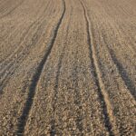 From Soil to Success: Transform Your Sarasota Land Grading Services with Targeted PPC Advertising!