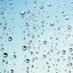 From Sparkling Windows to Stunning Clicks: Transform Your Bradenton Business with PPC Advertising!