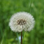 From Sunshine to Sales: Why Your Sarasota Day Spa Can't Afford to Ignore PPC Advertising