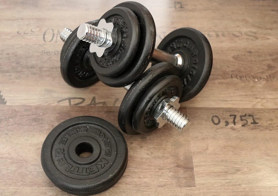 Get Fit and Found: How PPC Can Propel Your Bradenton Gym to New Heights!