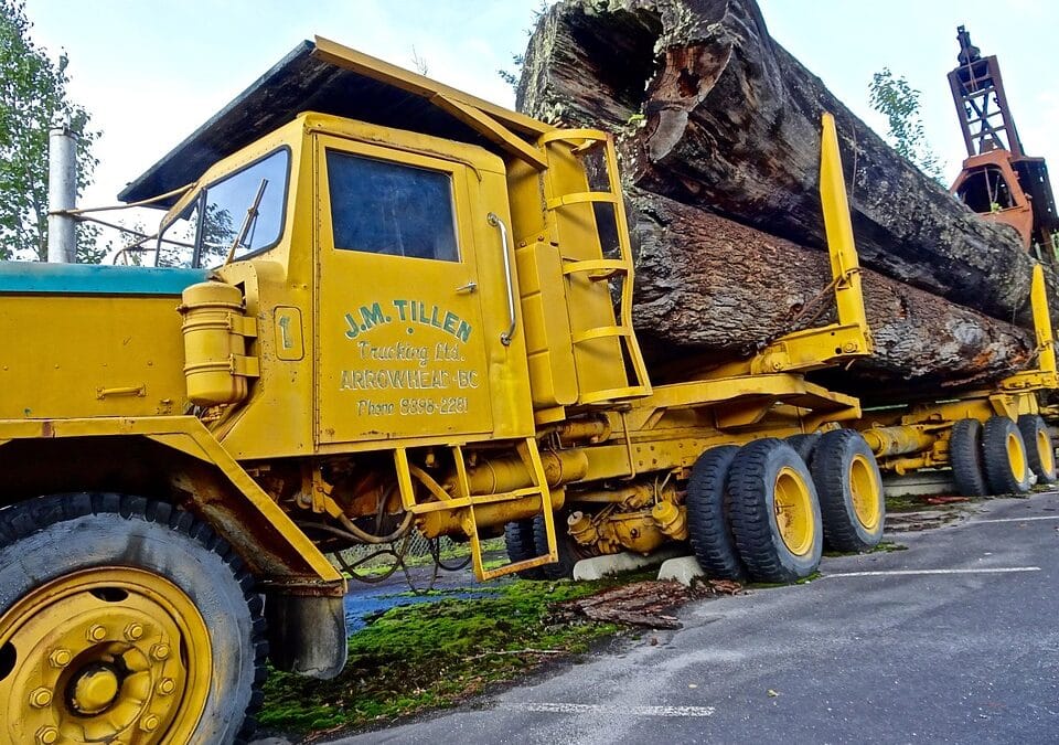 Get Found, Get Moving: Harnessing SEO to Drive Growth for Bradenton’s Small Moving Businesses