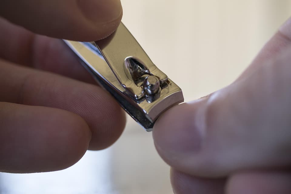 Get Found by Your Next Client: The Essential Guide to SEO for Sarasota’s Physical Therapy Clinics