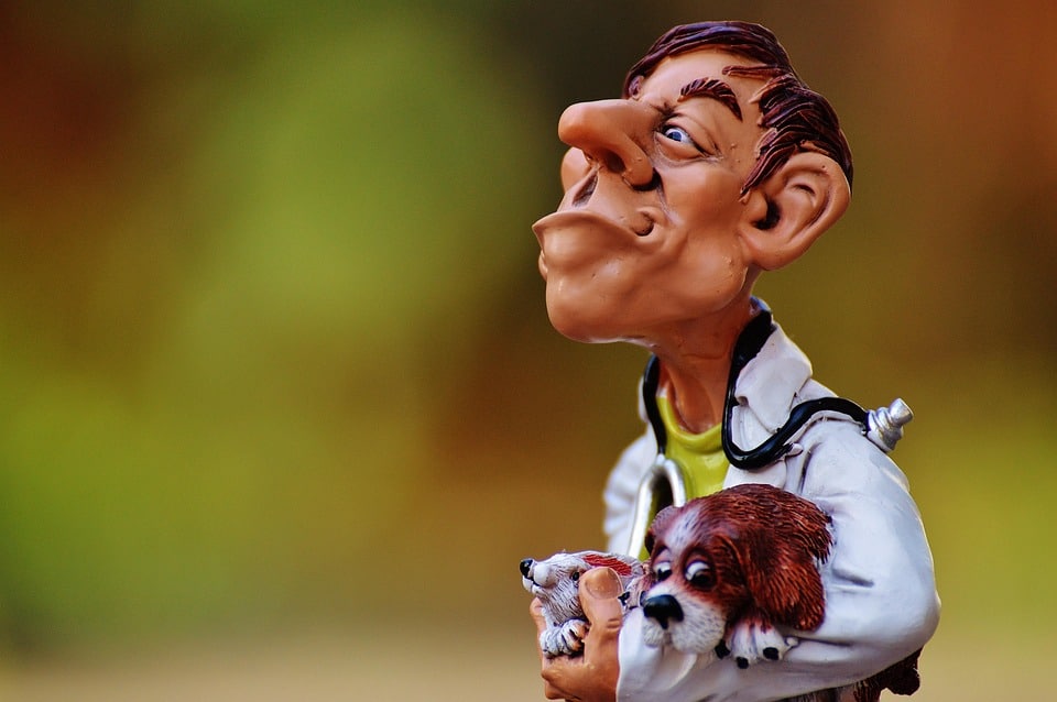Growing Your Business: The Top SEO Strategies for Sarasota's Tree Service Owners