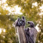 Growing Your Tree Service: Discover the SEO Secrets That Sarasota Entrepreneurs Should Know
