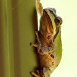 “Gutter Cleaning in Paradise: Unlocking the Power of SEO to Attract More Sarasota Customers”