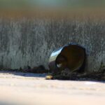 Gutter Goals: Unlocking Local Success with Targeted PPC Strategies in Bradenton