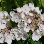 Harnessing the Power of PPC: Why Your Bradenton Day Spa Can't Afford to Miss Out!