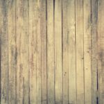 Harnessing the Sun & SEO: Top Strategies for Sarasota Solar Panel Businesses to Shine Online