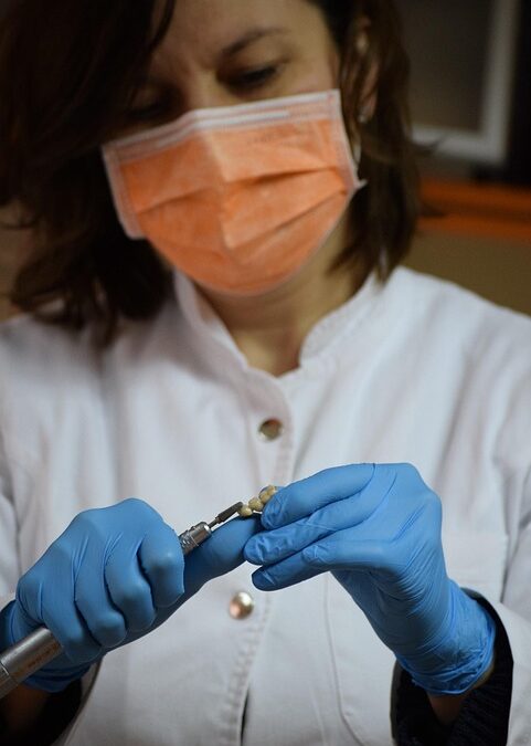 Healthy Teeth, Healthy Traffic: Boosting Your Bradenton Dental Practice with Smart SEO Strategies