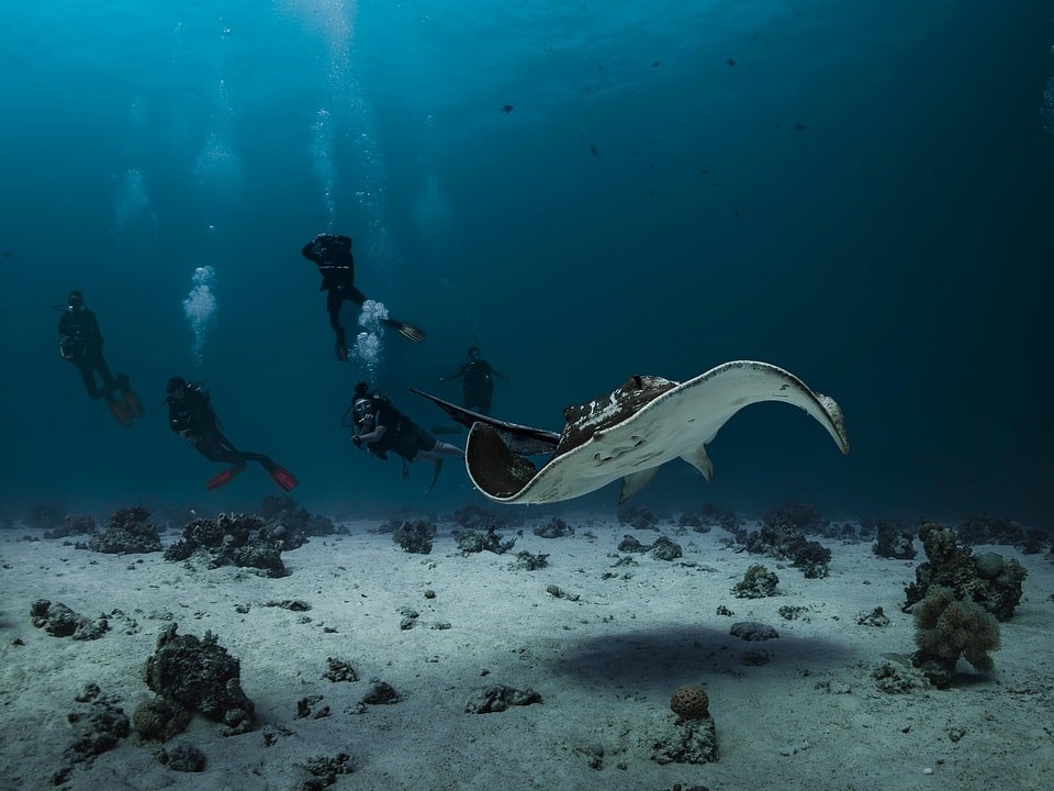 Hitting the Right Notes: How PPC Advertising Can Amplify Your Music School’s Reach in Bradenton