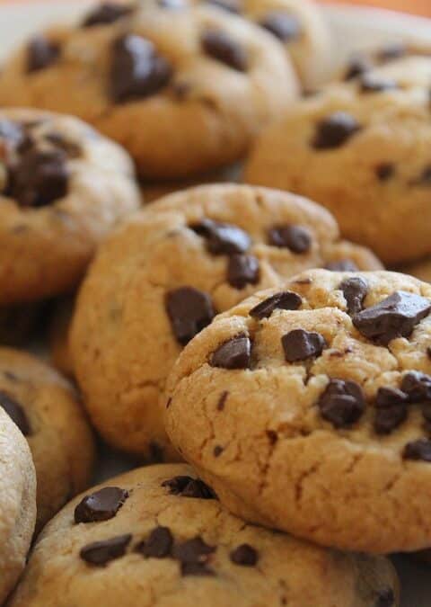 Kneading Success: Why Sarasota Bakeries Should Invest in PPC to Flourish