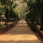 Lay the Foundation for Success: The Top 5 SEO Benefits for Small Flooring Businesses in Sarasota