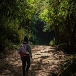 “Leash Up Your Online Presence: The Top SEO Benefits for Bradenton Dog Walkers”