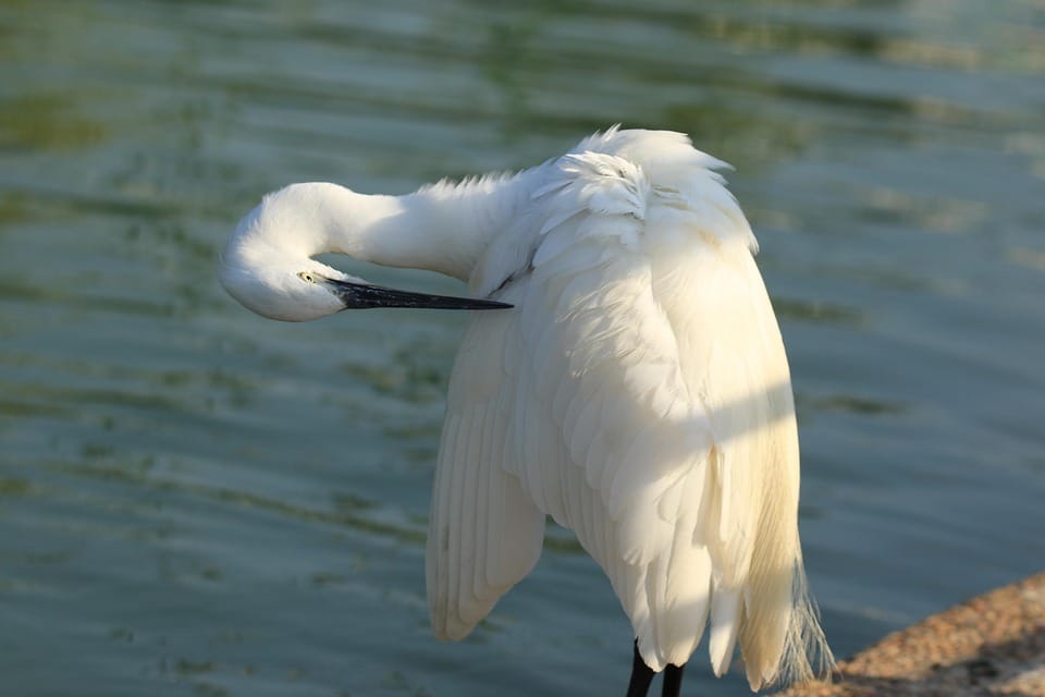 Local Listings Matter: How SEO Can Put Your Bradenton Dryer Vent Cleaning Service on the Map