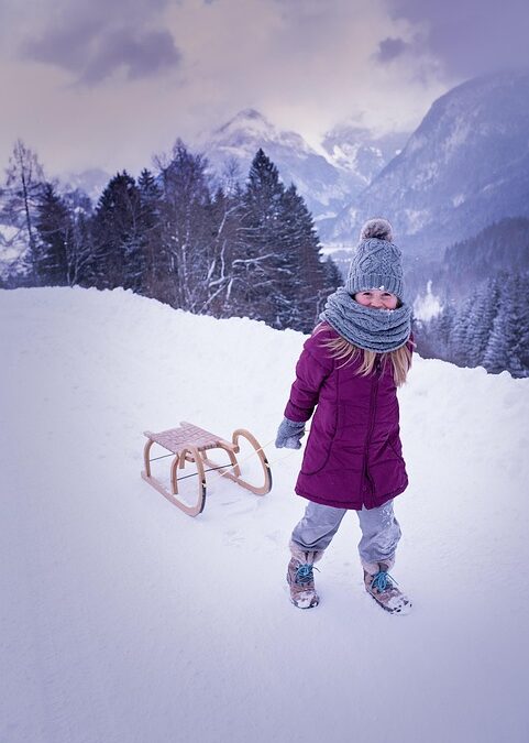 Local Moves, Big Visibility: How SEO Can Elevate Your Sarasota Moving Company