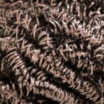 Local SEO for Local Cleaners: Boosting Your Bradenton House Cleaning Business One Click at a Time