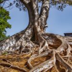 Maximize Your Listings: The Power of PPC Advertising for Bradenton Real Estate Agents