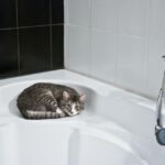 Maximize Your Renovation Revenue: The PPC Advantage for Bathroom Remodeling Services in Bradenton