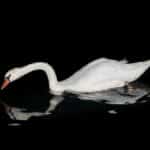 Navigating the Digital Landscape: Why Every Bradenton Small Business Needs SEO Savvy