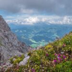 Navigating the Landscape of Online Visibility: SEO Strategies for Bradenton Land Graders