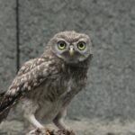 Nurturing Growth: How Effective SEO Can Elevate Your Sarasota Child Care Center