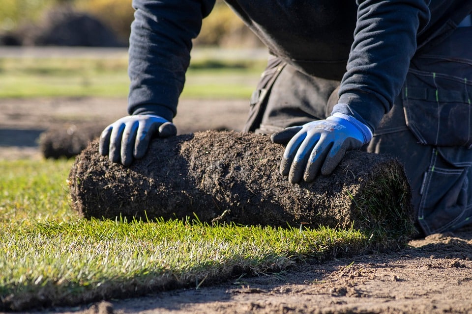 PPC Power: Transforming Lawn Care Businesses in Bradenton into Local Leaders