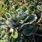 Pampering Your Business: The Essential SEO Strategies for Successful Day Spas in Sarasota