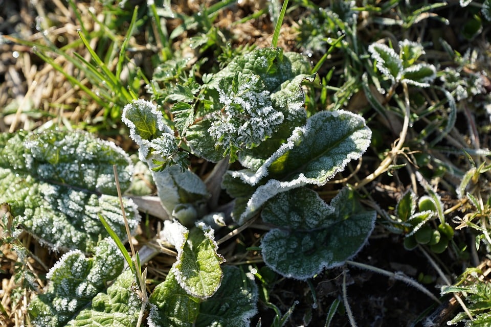 Pampering Your Business: The Essential SEO Strategies for Successful Day Spas in Sarasota