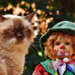 Pawsitive Online Presence: Why SEO is Essential for Sarasota’s Pet Training Pros