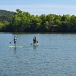 Pawsitive ROI: How PPC Advertising Can Elevate Your Sarasota Pet Boarding Business